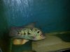 20120924_204115.jpg