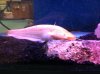 IMG_1778 copy.JPG