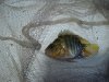 DSC05882.JPG
