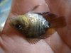 DSC05889.JPG