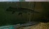 uploadfromtaptalk1348710807514.jpg