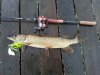 20120927_182344.jpg