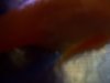 100_3329.JPG