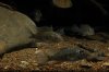 DSC_0219.JPG DSC_0219.JPG