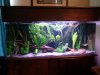 2012-10-05 10.02.32.jpg