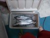 fishing 10-4 028.JPG fishing 10-4 028.JPG