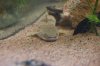 DSC_1044.JPG