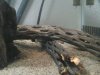 uploadfromtaptalk1349641256016.jpg