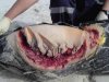 uploadfromtaptalk1349705919382.jpg