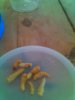 IMG_20121016_095735_zps0c53304e.jpg