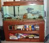 fish tank.jpg