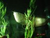 FISH 2007 215.jpg