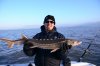 GreenSturgeon1.JPG