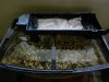 DSCN8735.JPG DSCN8735.JPG