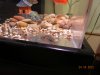 DSCN8997.JPG DSCN8997.JPG