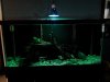 20121027_165355.jpg