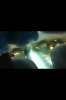 ImageUploadedByMonsterAquariaNetwork1351451280.543091.jpg