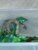 20121026_150310.jpg