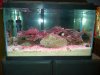 IMG-20121012-00042.jpg