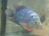 uploadfromtaptalk1351560915744.jpg