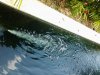 20121030_135028.jpg