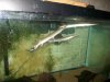 2012-10-25 Oct 29th 2012 037.JPG