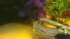 uploadfromtaptalk1351766671887.jpg