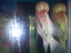 20121101_183724.jpg 20121101_183724.jpg