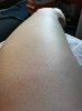 ImageUploadedByMonsterAquariaNetwork1351891938.883995.jpg