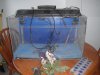 DSCF3147.JPG