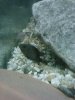 IMG026.jpg