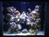 fts2.JPG
