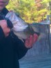 uploadfromtaptalk1352148032518.jpg