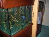 100_2083.JPG