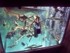 100_2087.JPG