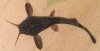 DSCF3275.JPG