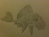 ImageUploadedByMonsterAquariaNetwork1352498414.505252.jpg