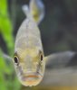 11102012TheBloop2.jpg