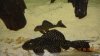 L282-L048.JPG