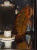 DSCF1214.JPG