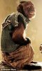 ImageUploadedByMonsterAquariaNetwork1353365218.772026.jpg