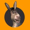 donkey_2.jpg