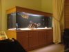 DSC00046.JPG