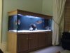 DSC00002.JPG