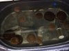 pics 3-21-07 010.jpg