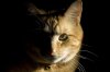 DSC_0629.jpg