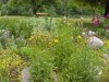gardens_030.jpg