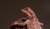 beard3.png