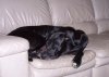 100_0765.JPG