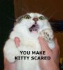 Scared Kitty.jpg
